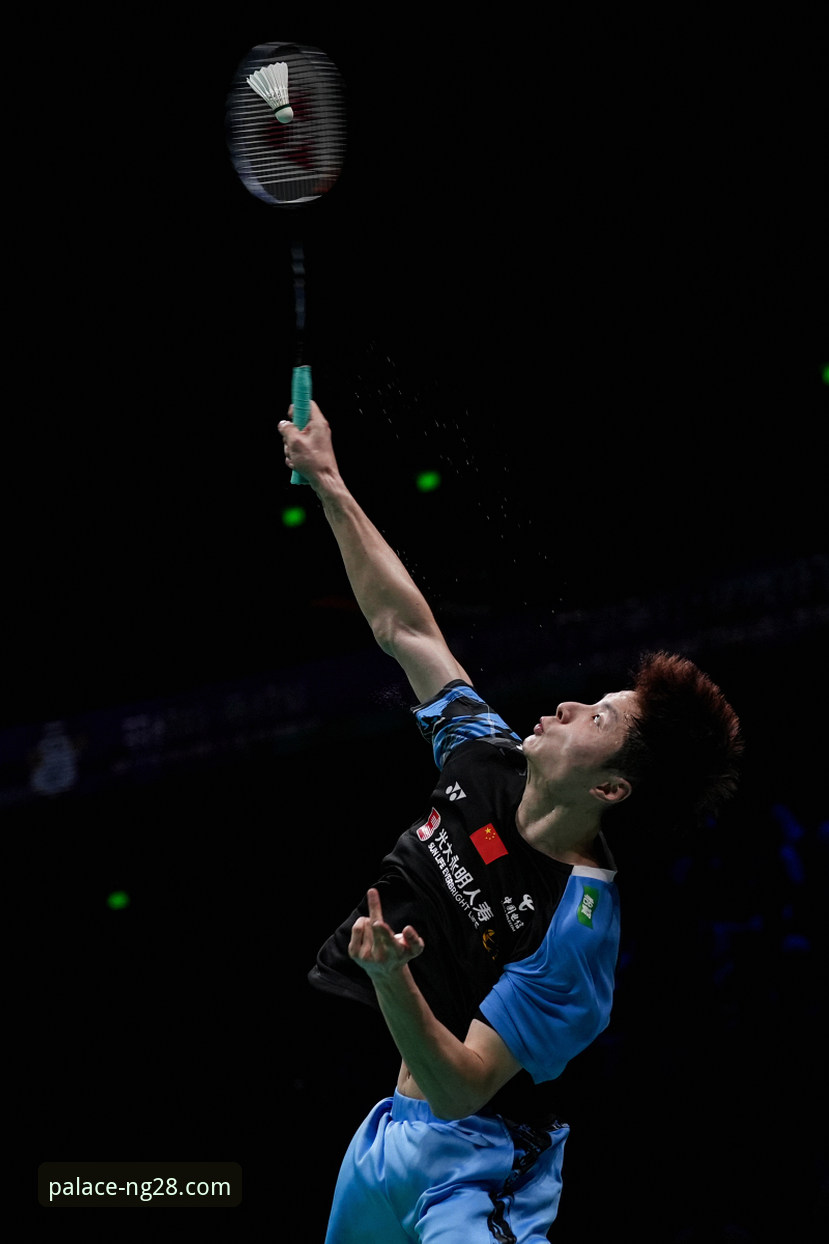 揭秘石宇奇亚锦赛夺冠之路：如何在南宫28NG28官方平台深度体验赛事魅力